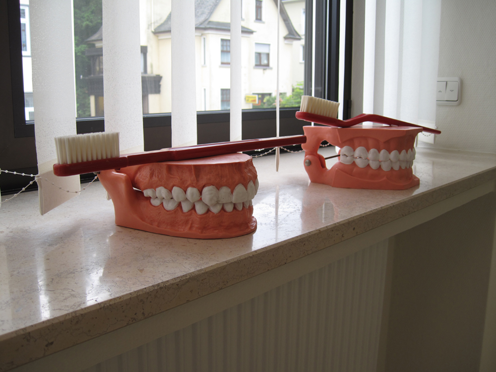 Detailfoto von zahnmedizinischen Gebissmodellen auf der Fensterbank im Behandlungszimmer.